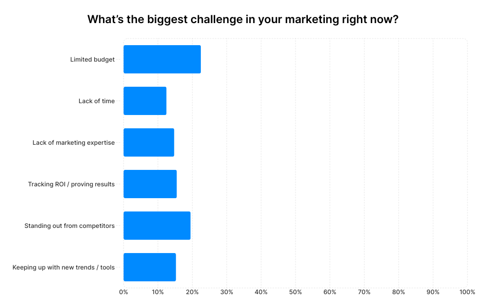 A graph showing small business owners' answers to the question "What's the biggest challenge in your marketing right now?"